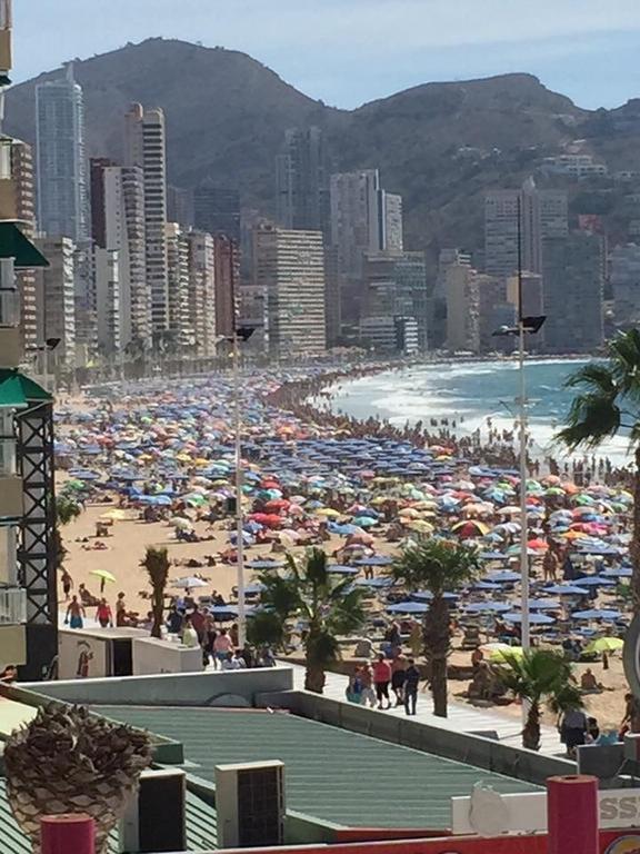 La Gavina Leilighet Benidorm Rom bilde